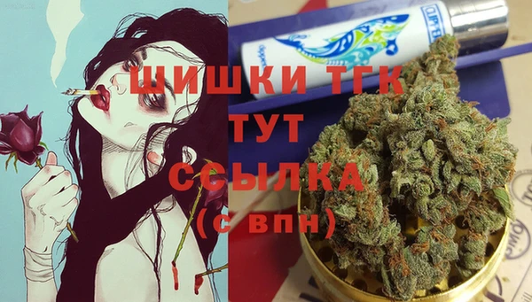 тгк Алексин