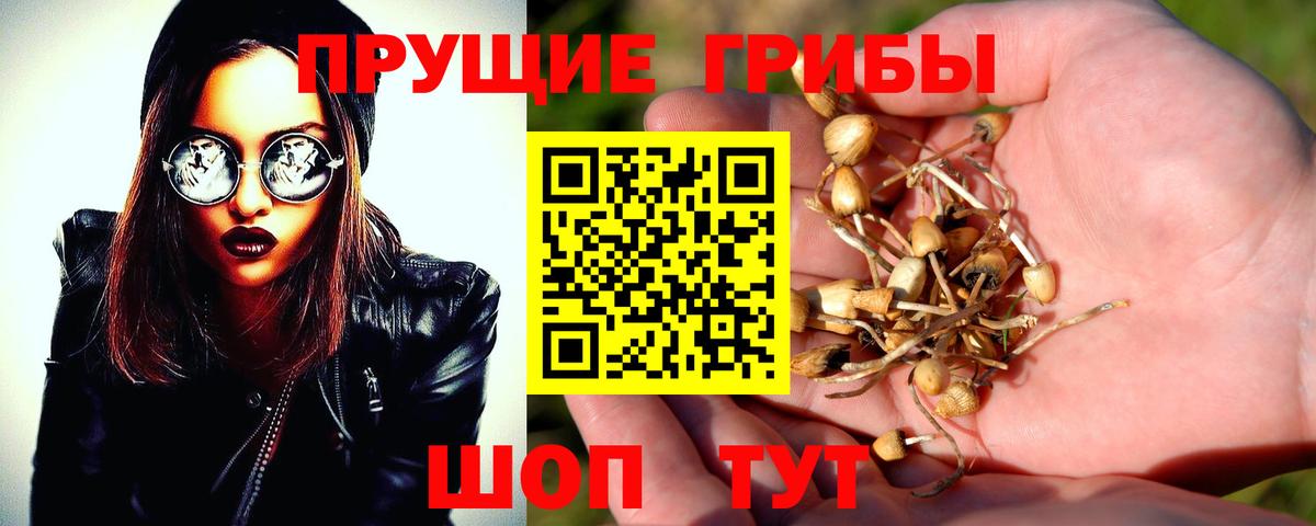 Галлюциногенные грибы мицелий Лабинск